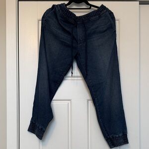MOTHER Dark Blue Jogger Pants